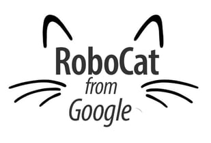 robotcat-google